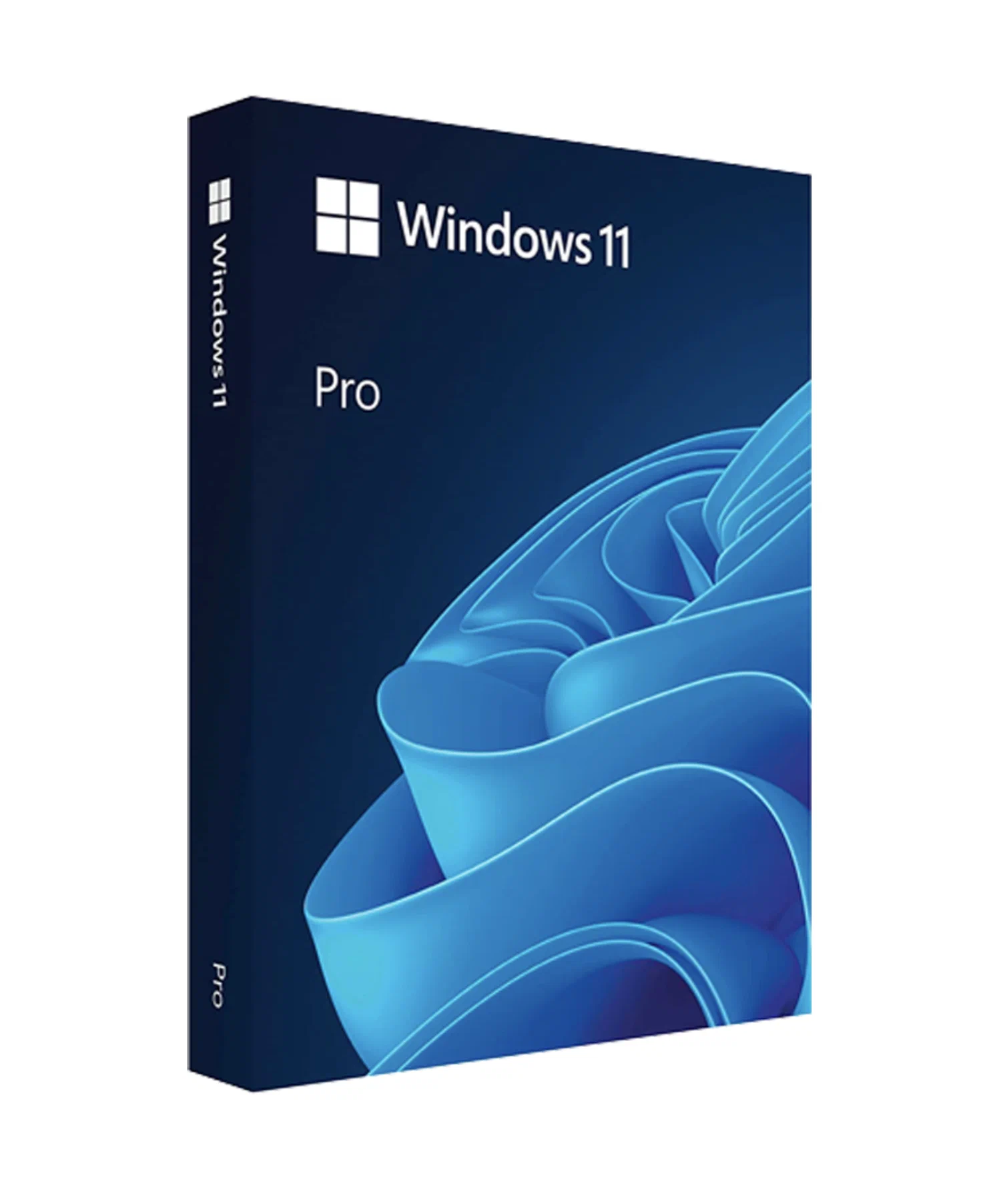 Windows 11 Pro